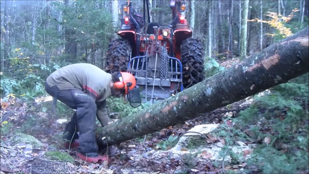 Bûchage d'automne