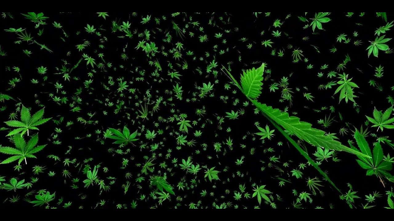 weed bg