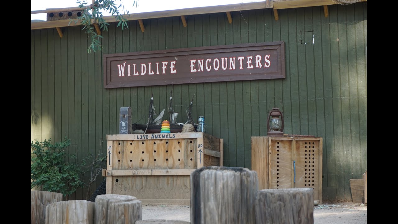 Wildlife Encounters Show at the Wildlife World Zoo