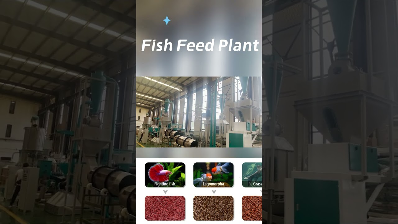 Floating Fish Feed Mill Machine in Angola - Herm Machinery 