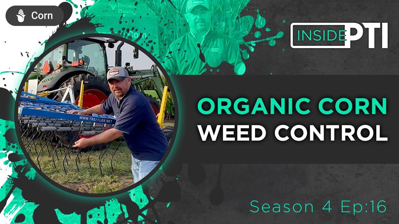 InsidePTI S4•E16 | Organic Corn Weed Control ‣ Corn