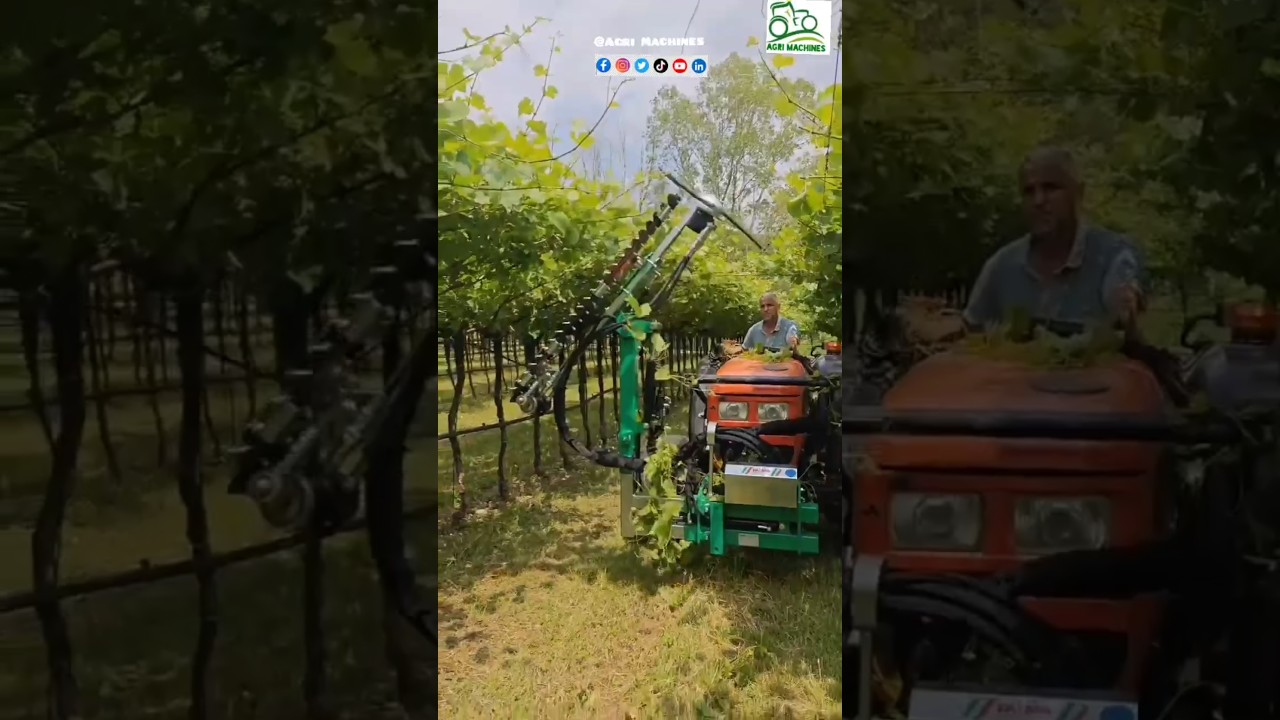 Vine Trimming Machine CTS 200 || Made By FA.MA. Pruning System Srl Italy || #vineyard #pruning