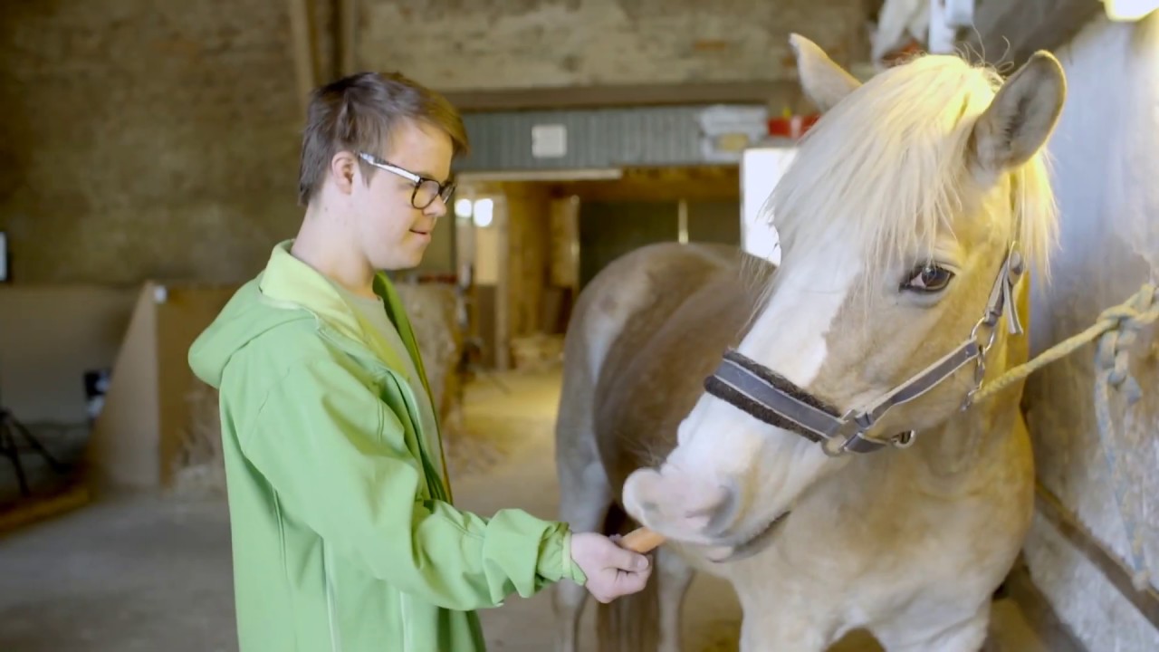 Ausbildung Reittherapie bei SanaAnimal