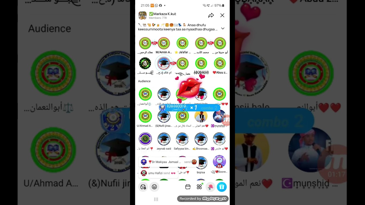 Walloo Queen 
