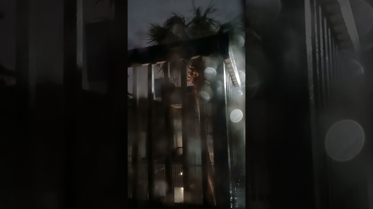 BLACK LAVENDER - Shadows