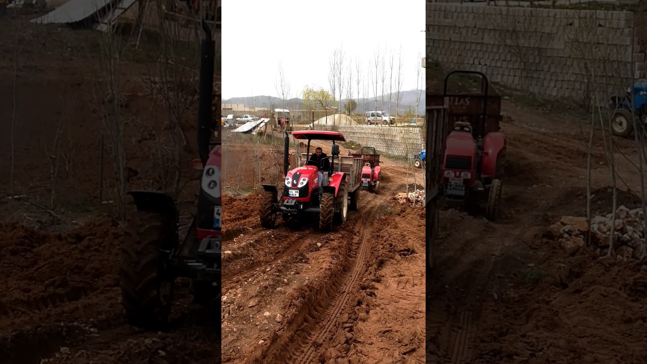 Başak 2060