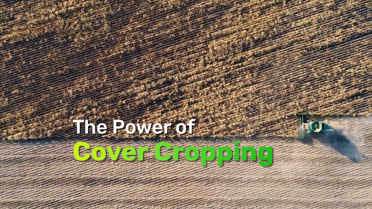 The Power of Cover Cropping