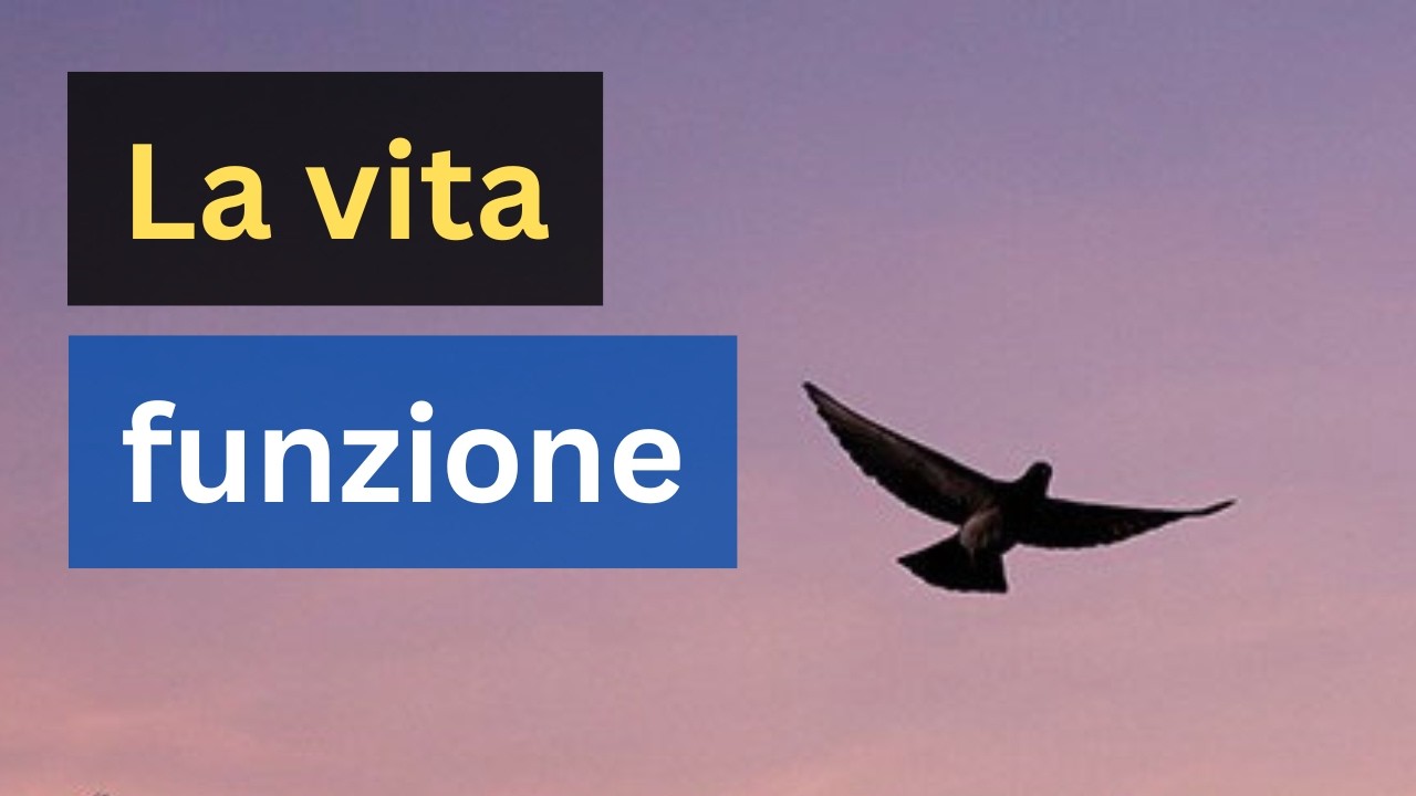 La vita come funzione