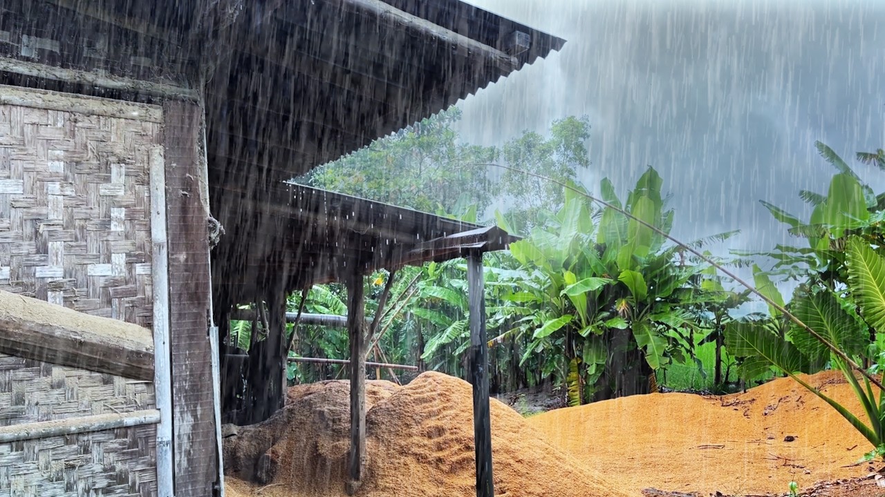 Peaceful Rain Village Evening | Calm Rural Sounds for Stress Relief and Inner Peace