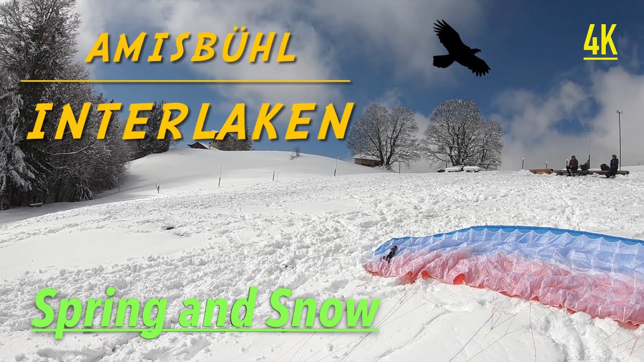 Spring and Snow | Paragliding | UP Kibo 2 | Interlaken | Amisbühl | 4K