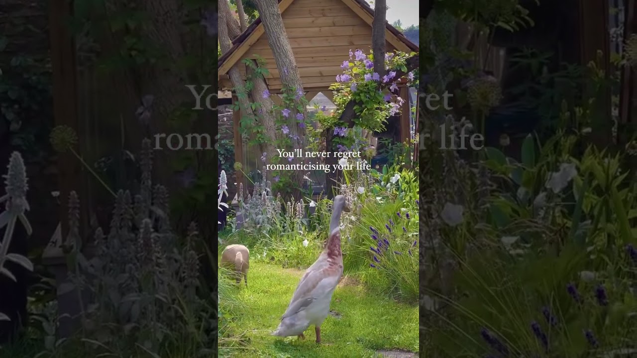 Romanticise your life 💕🌱 #cottagecore