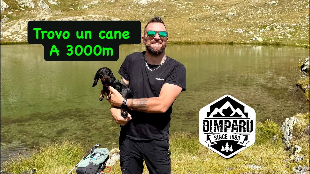 Vado a 3000m e trovo un cane 🐶 abbiamo nuovo abitante in camper?