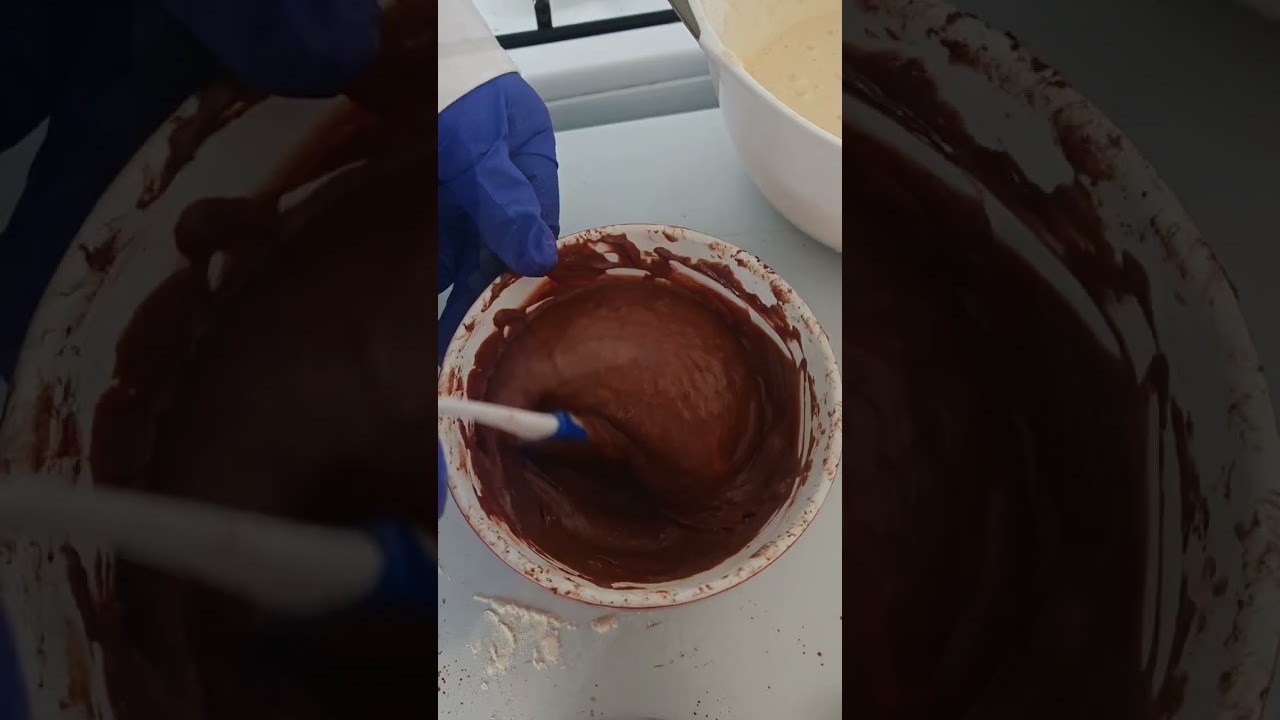 كيك ماربري cake marbré 