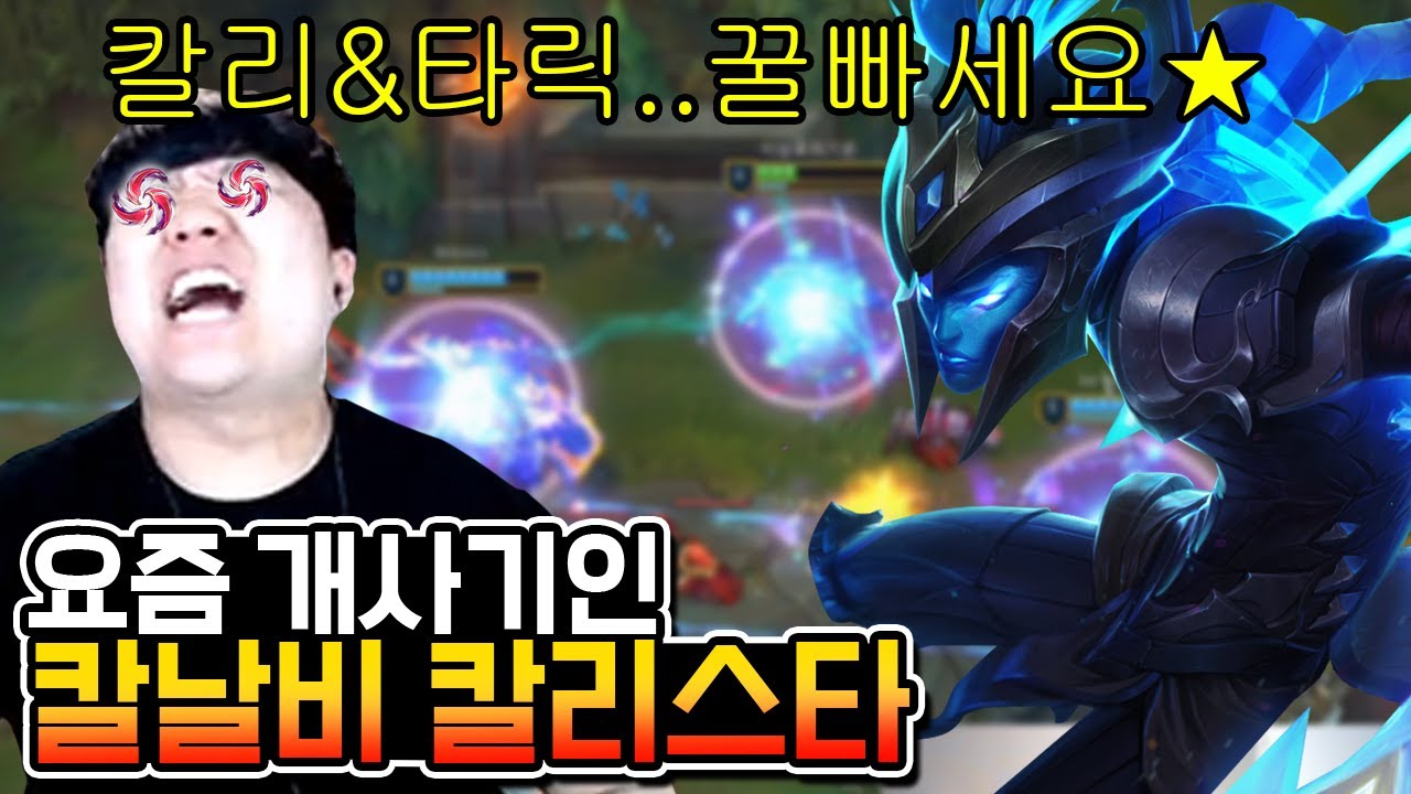 미친 사기조합 '칼날비 칼리스타' 당장 꿀빠십쇼 #칼리스타강의 #타릭