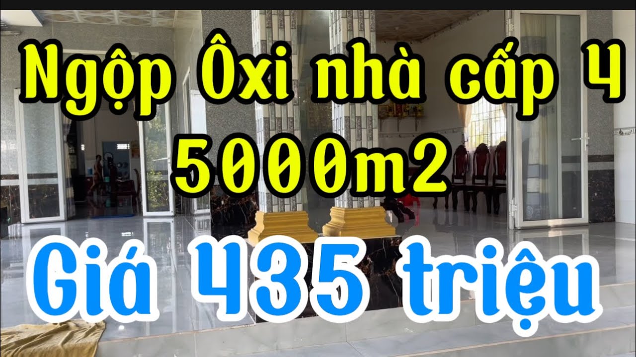 Ngộp Ôxi bán gấp nhà cấp 4 +5000m2 vườn xa bo mặt tiền đường xe máy tới đất giá 435 triệu hậu Giang
