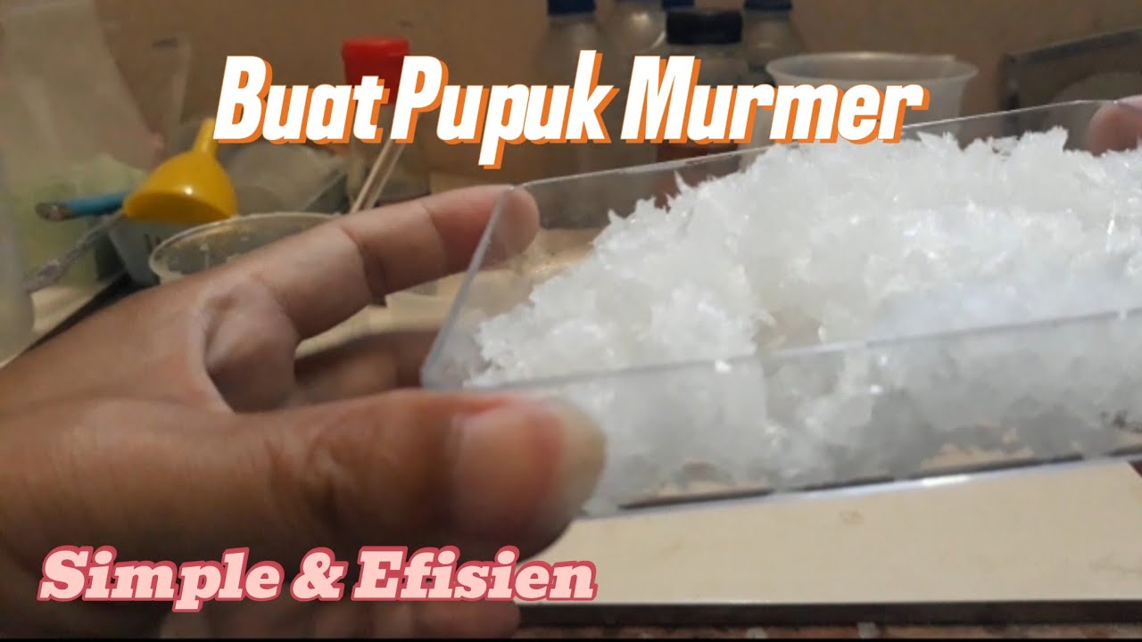 Cara Pembuatan Amonium Nitrat Eps 1 versi rotari