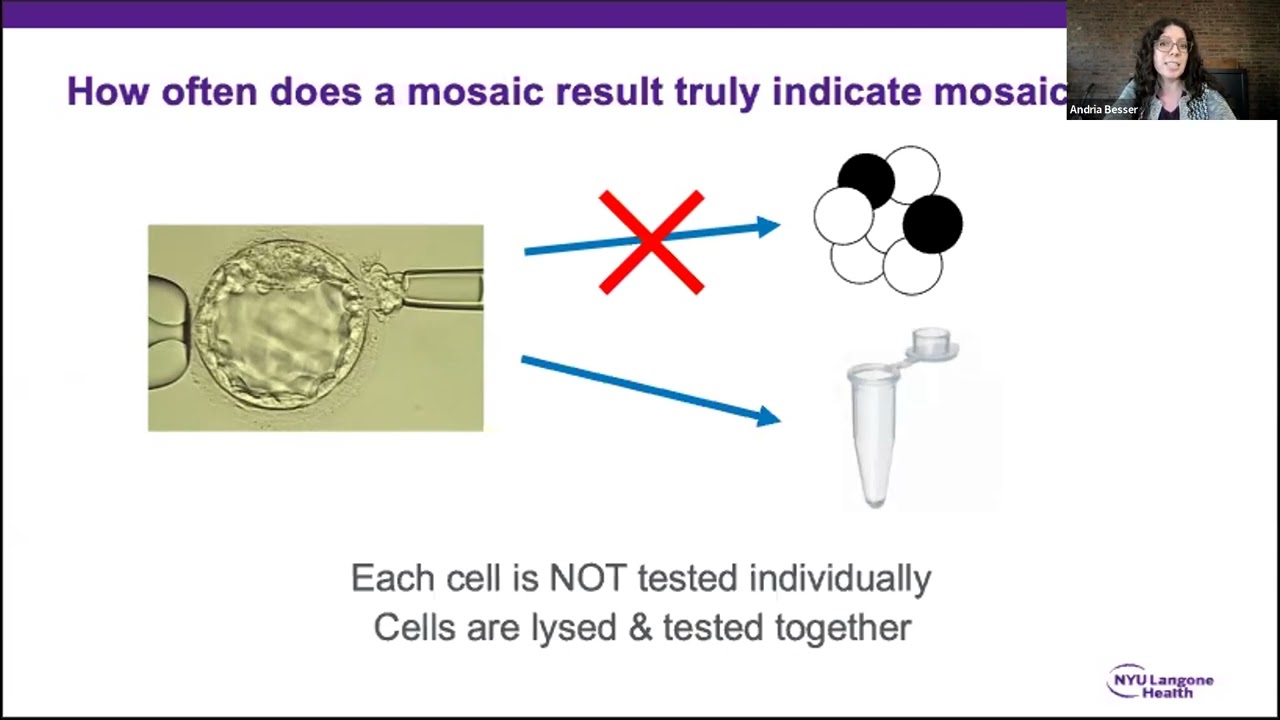 1000 mosaic embryos and more: status update on PGT-A intermediate copy number