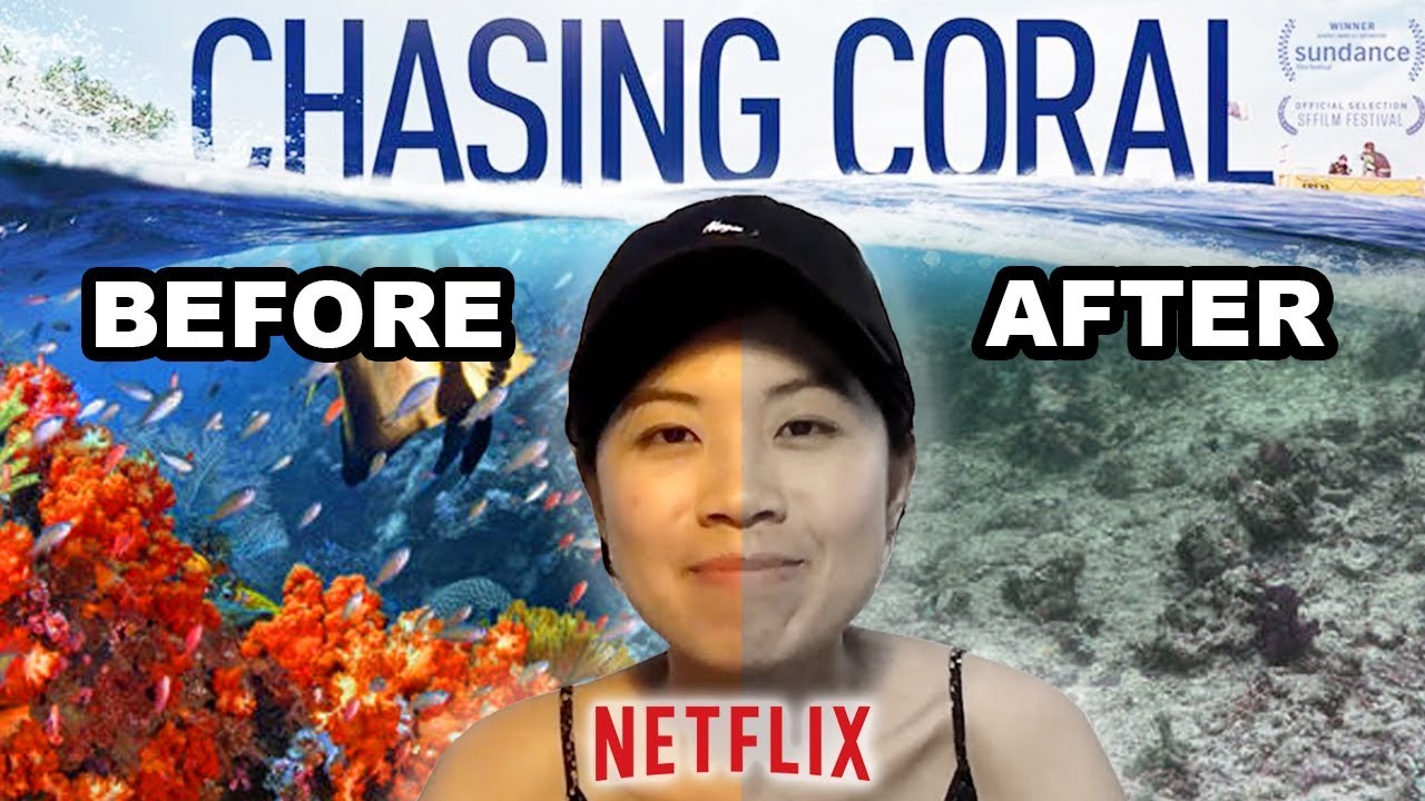 紀錄片《追逐珊瑚 Chasing Coral》教會我的事｜小眾又怎樣 #6