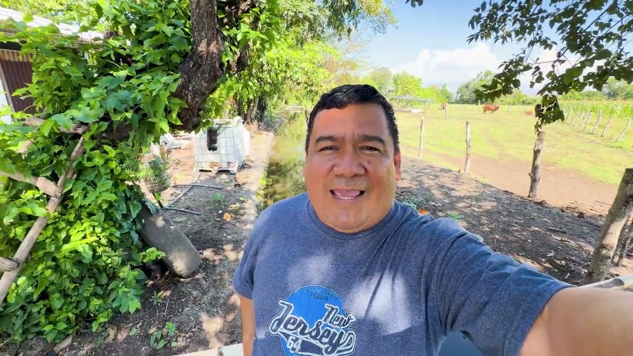 MODIFICAMOS EL GALLINERO ESTERATE PORQUE LO HICIMOS EN LA FINCA DEL PATECHUCHO