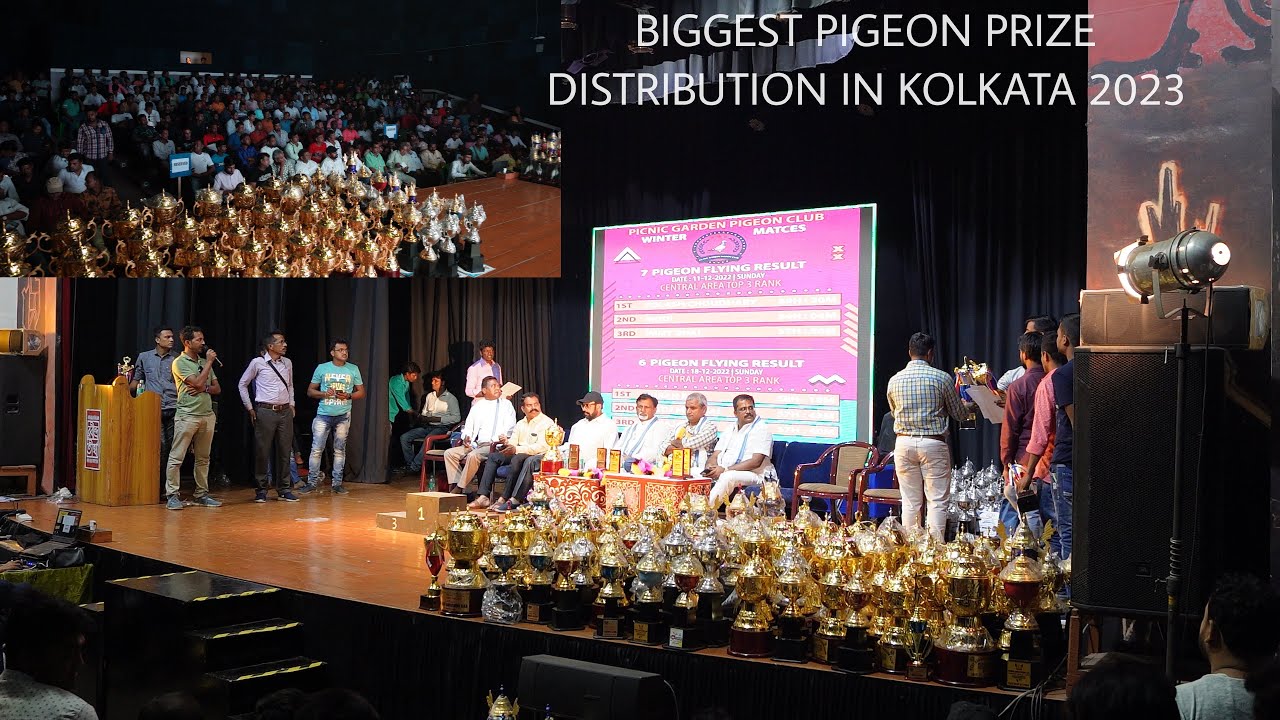 Biggest Pigeon Prize Distribution Ceremony ( 10 Pigeon Club ) in Kolkata  - 2023