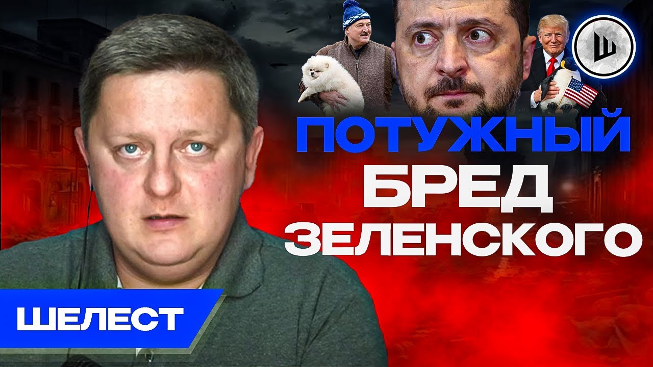 🤬С чего начинается ФАШИЗМ... Белый Шпиц ВЛАСТИ. Ш!УМ. Шелест. ДИСКОМБОБУЛЯТОР Трамп