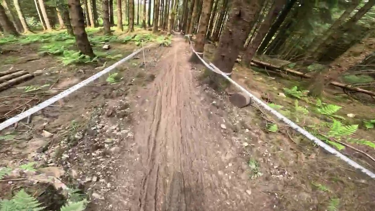 Boomslang, Bike Park Wales