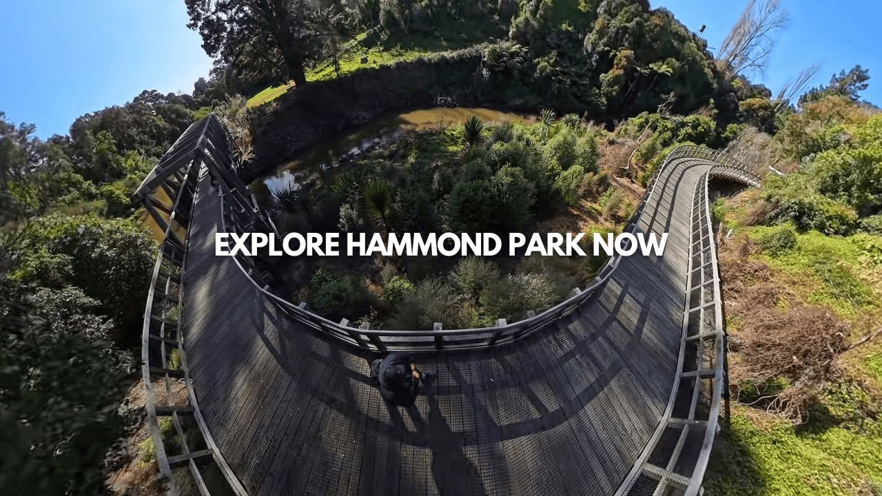 Discover the HIDDEN GEM of Hamilton New Zealand in Hammond Park