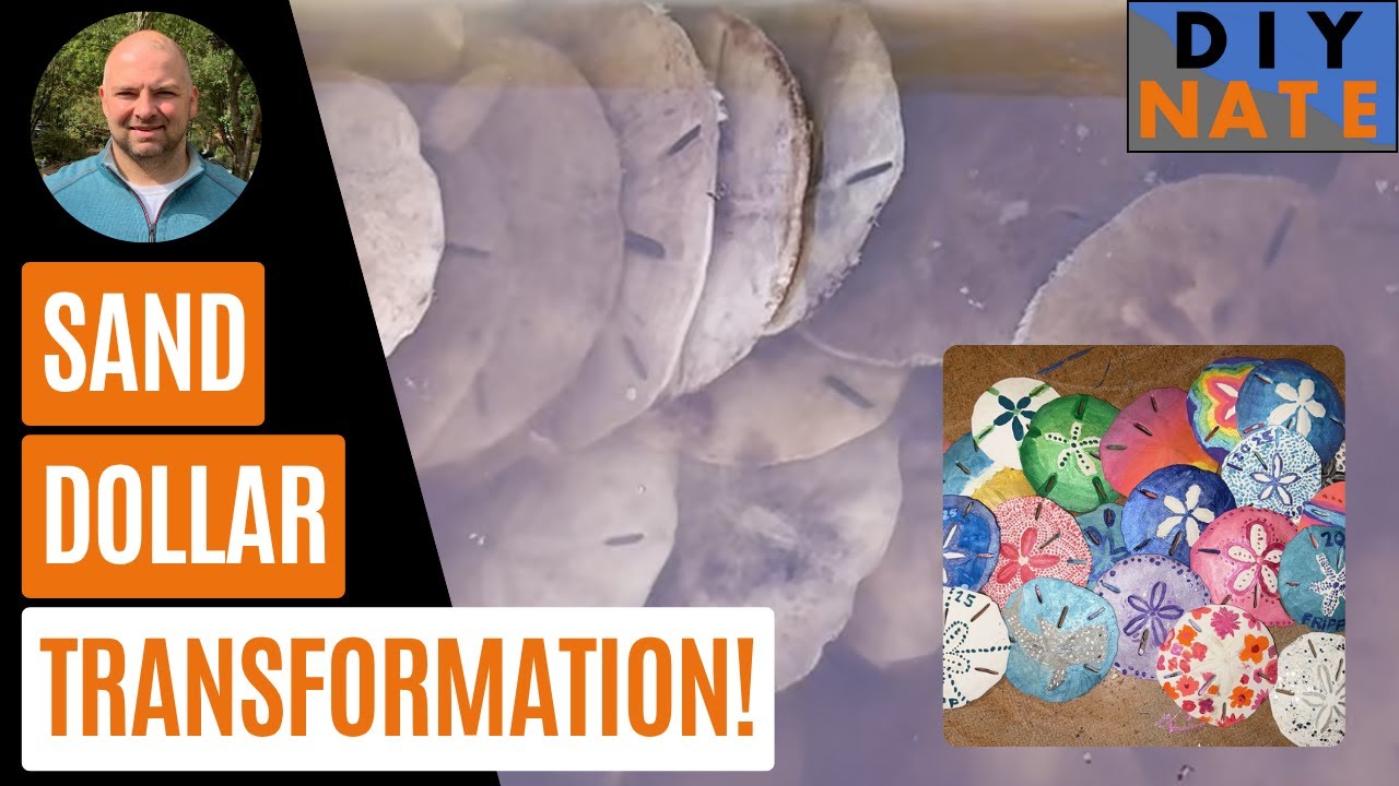 Sand Dollar Transformation: How to Turn Sand Dollars into Neat Artwork! - by DIYNate