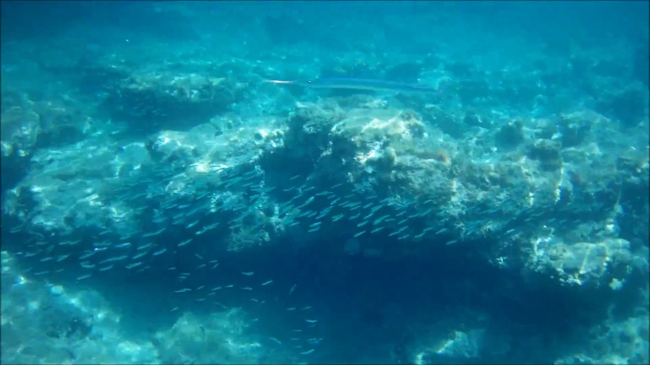 Murter Kornati 2018 snorkeling