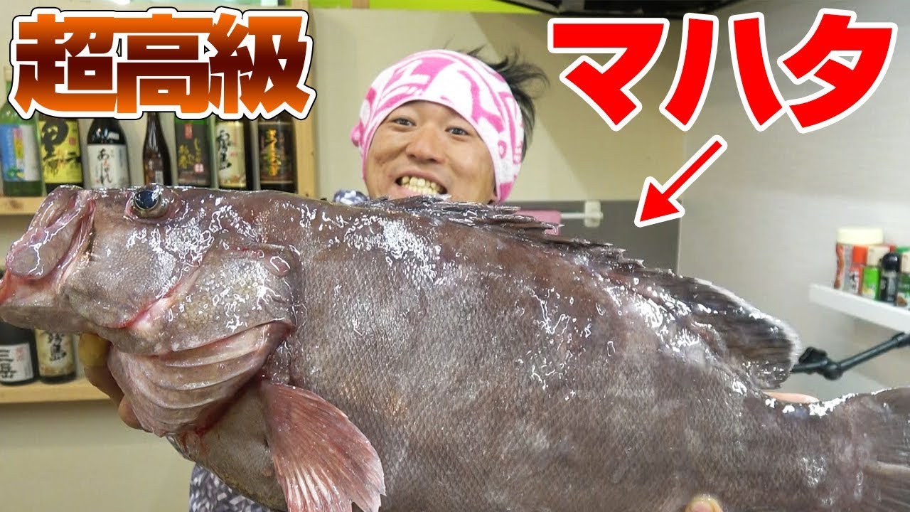超高級魚「マハタ」を捌いて食ってみた‼