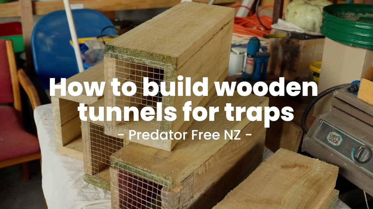 How to build wooden tunnels for traps