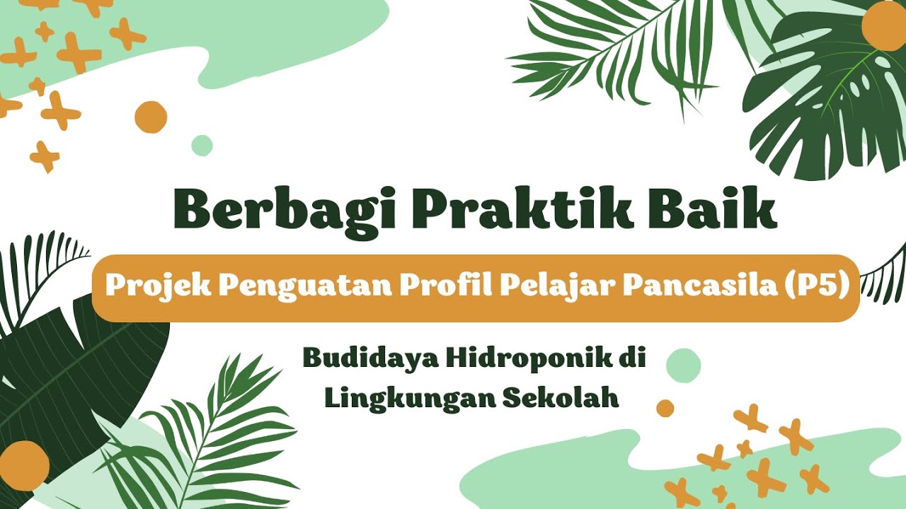 Praktik Baik P5 Budidaya Hidroponik Di Lingkungan Sekolah