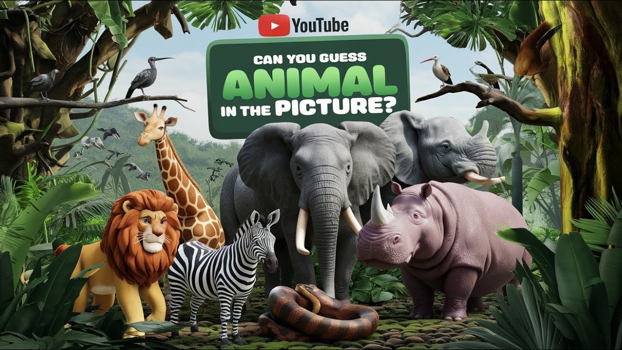 Guess That Animal! | Fun Picture Quiz Challenge
