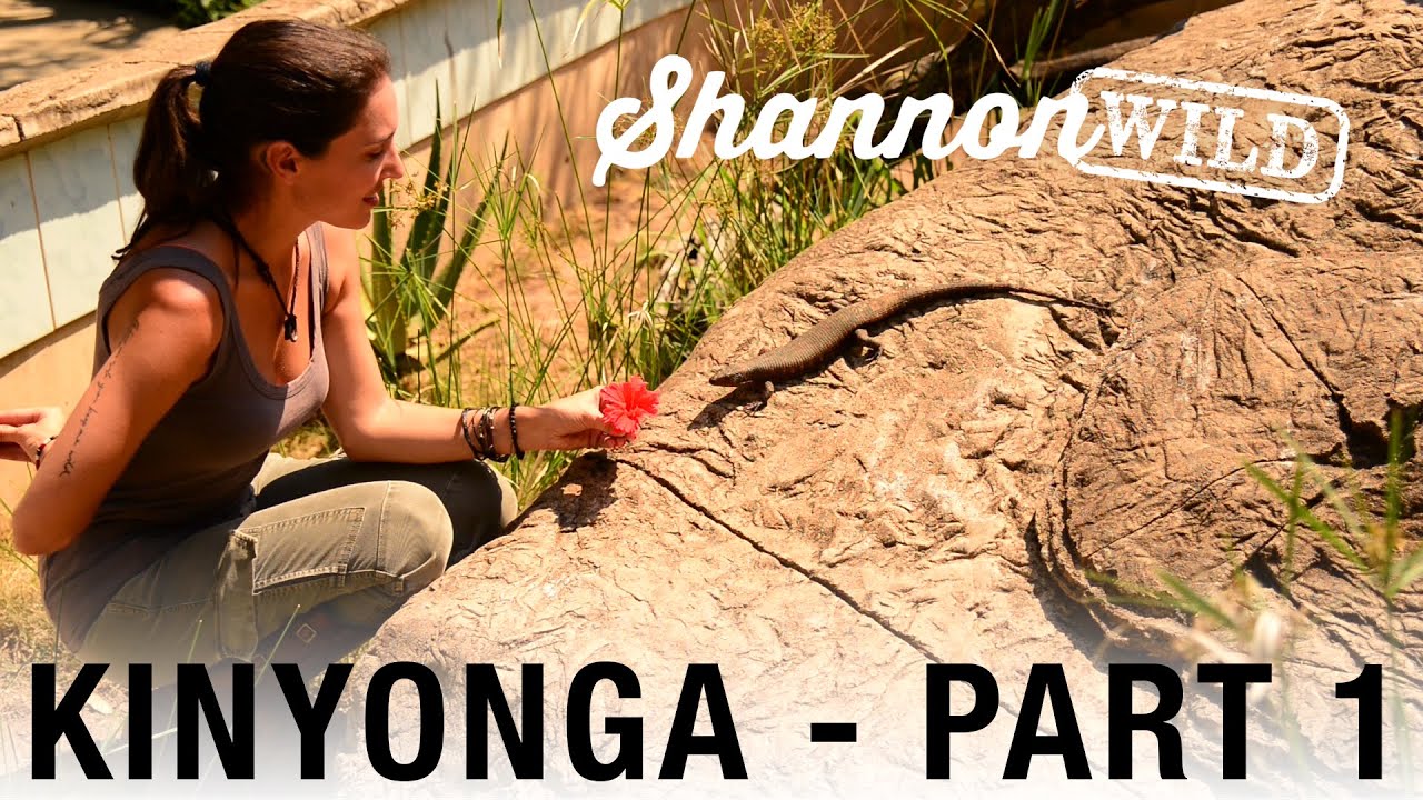 Shannon Wild with Giant Lizards at Kinyonga - Part 1