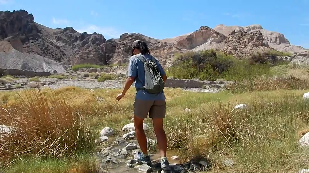 Финиковая ферма China Ranch — Текопа, Калифорния — Слот-Каньон