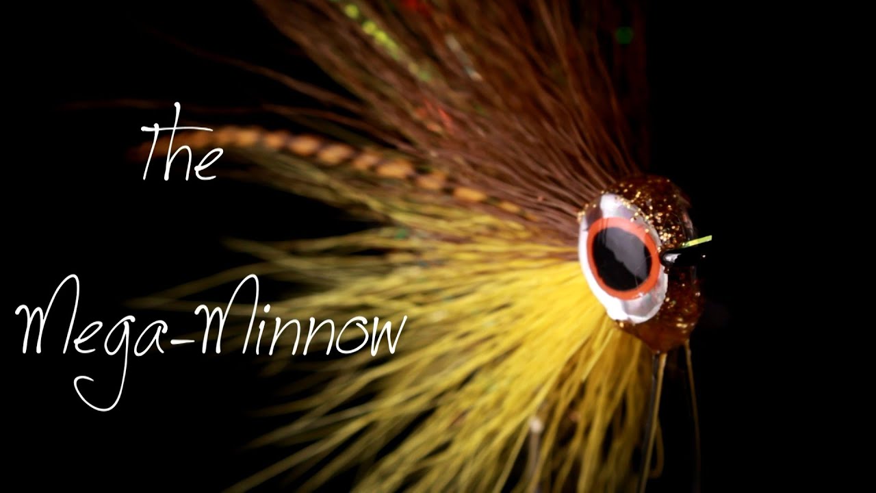 Chad Johnson's Mega Minnow