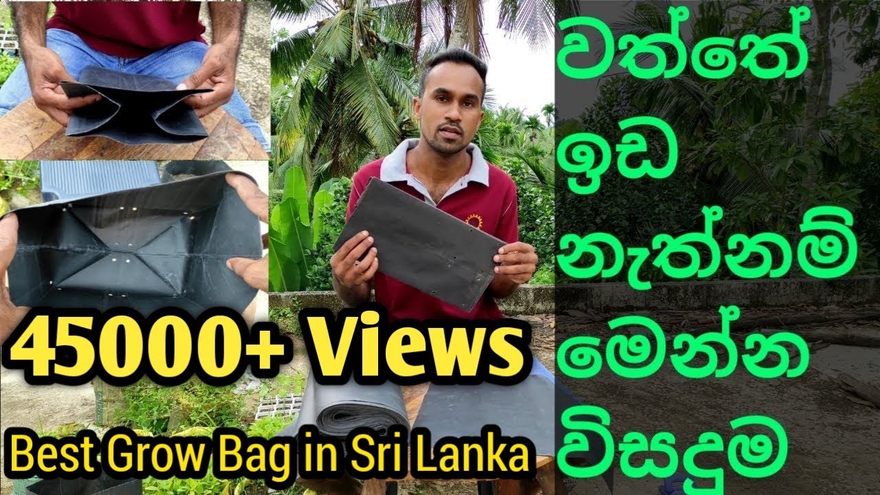 ගෙවතු වගාව සඳහා උරයක් | Grow Bag Sinhala | agriculture technique | sri lankan agriculture