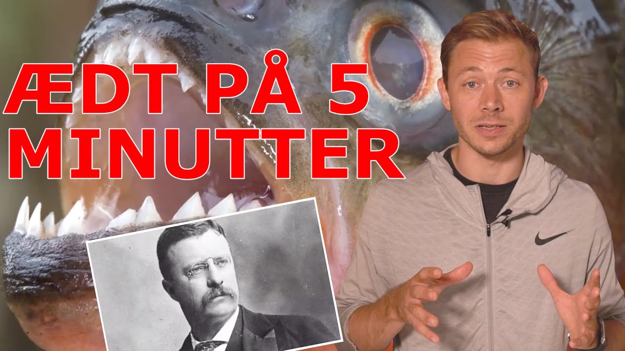 Kan Piratfisk Æde Et Menneske På 5 Minutter?