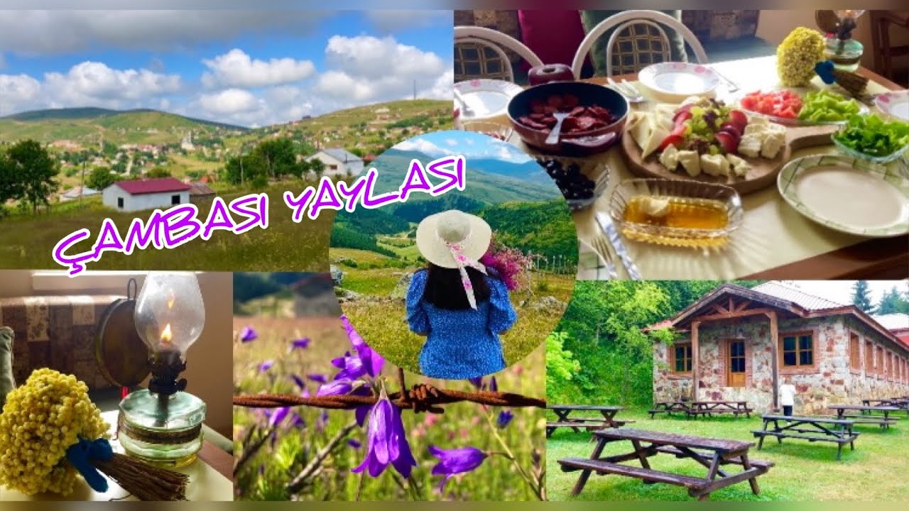 &Ccedil;ambaşı Yaylası💜Kuzey Yıldızı İlk Aşk Dizisinin &Ccedil;ekildiği Yayla |VLOG🎬