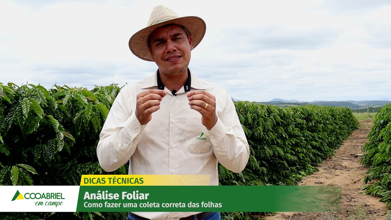 Dicas Técnicas: Análise Foliar