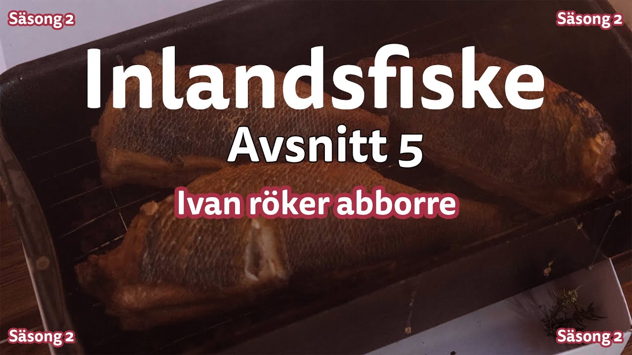 Inlandsfiske | Säsong 2 | Ivan röker abborre | Avsnitt 5