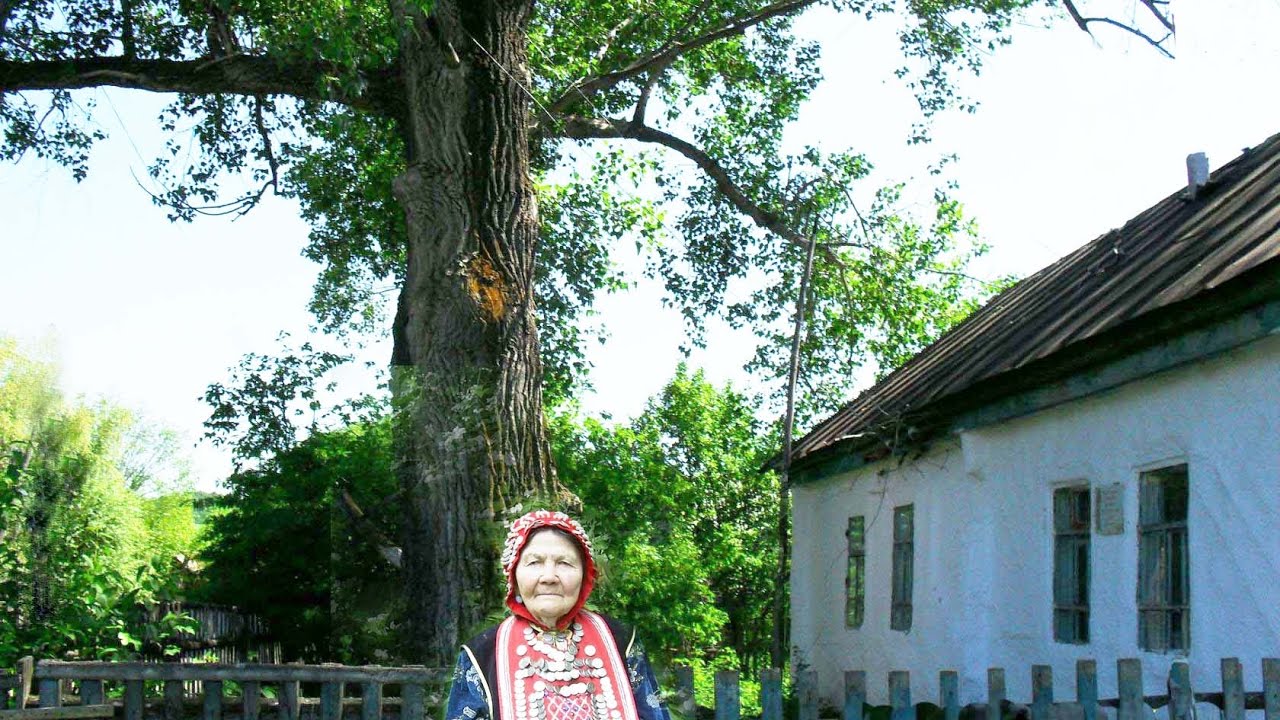 Вафа Мәүлитов  - 