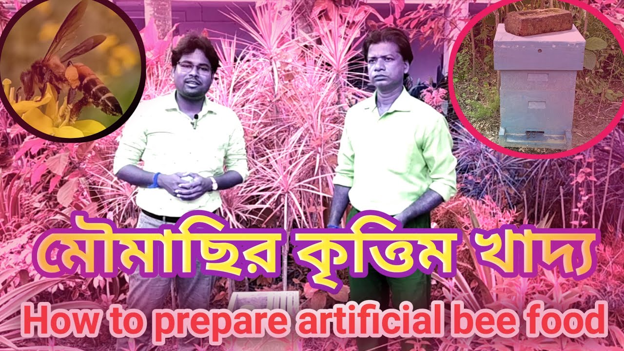 মৌমাছিরা যখন অভুক্ত - How to make honey bees food - Preparation of artificial bee food