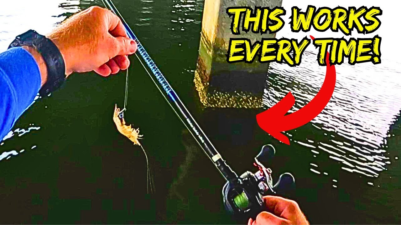 The EASIEST Way to Catch Sheepshead! (Catch, Clean, Cook) Ultimate Smoked Sheepshead Dip!