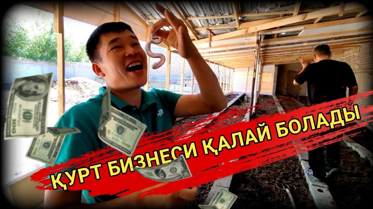 КОЛИФОРНИЯ ҚЫЗЫЛ ҚУРТ БИЗНЕСИН БАСЛАДЫҚ/СИЗГЕДЕ ИМКАНИЯТ БАР