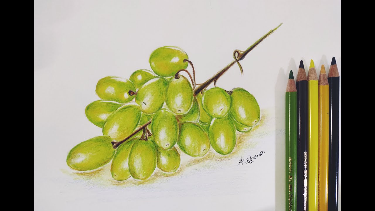 How to Draw Grapes Step By Step Tutorial || Using Colour Pencils ll Colour pencil drawing