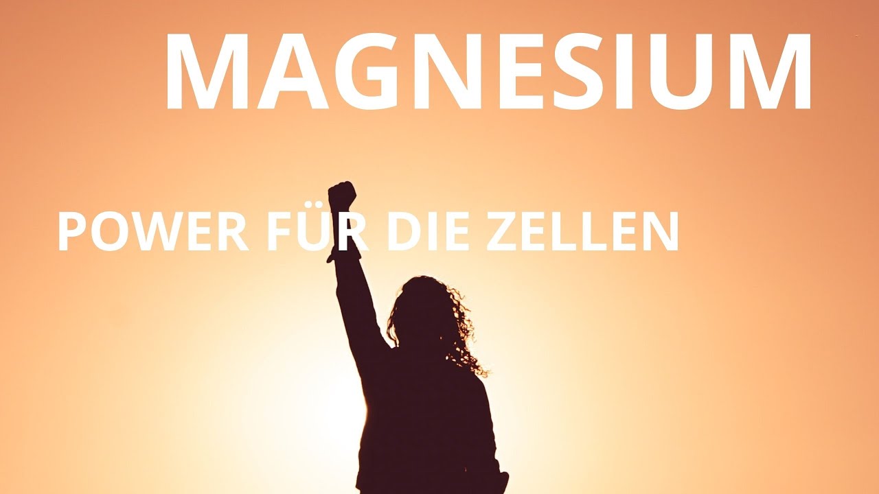 Magnesium - Power für die Zellen
