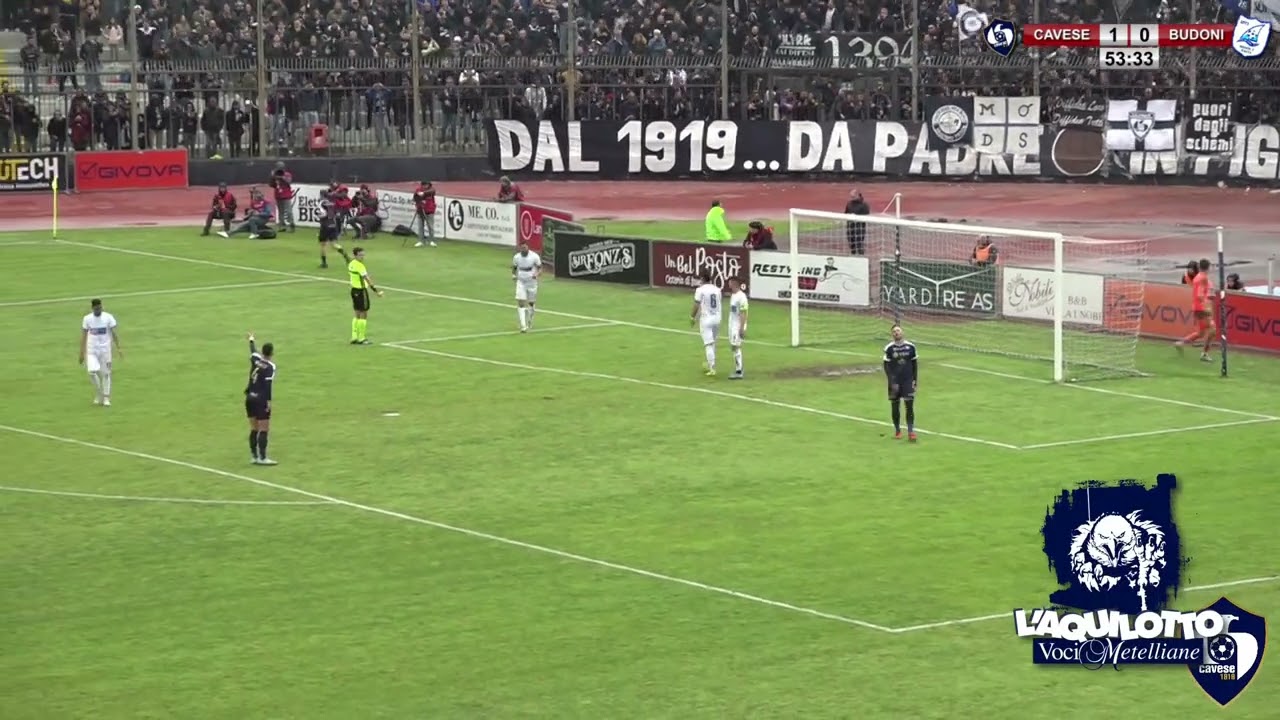 Cavese Budoni  Highlights