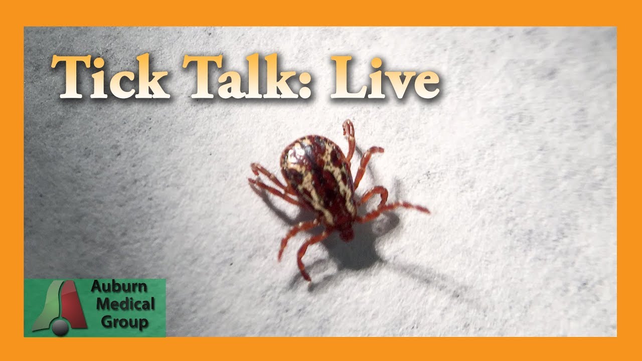 Tick Talk | Auburn Medical Group