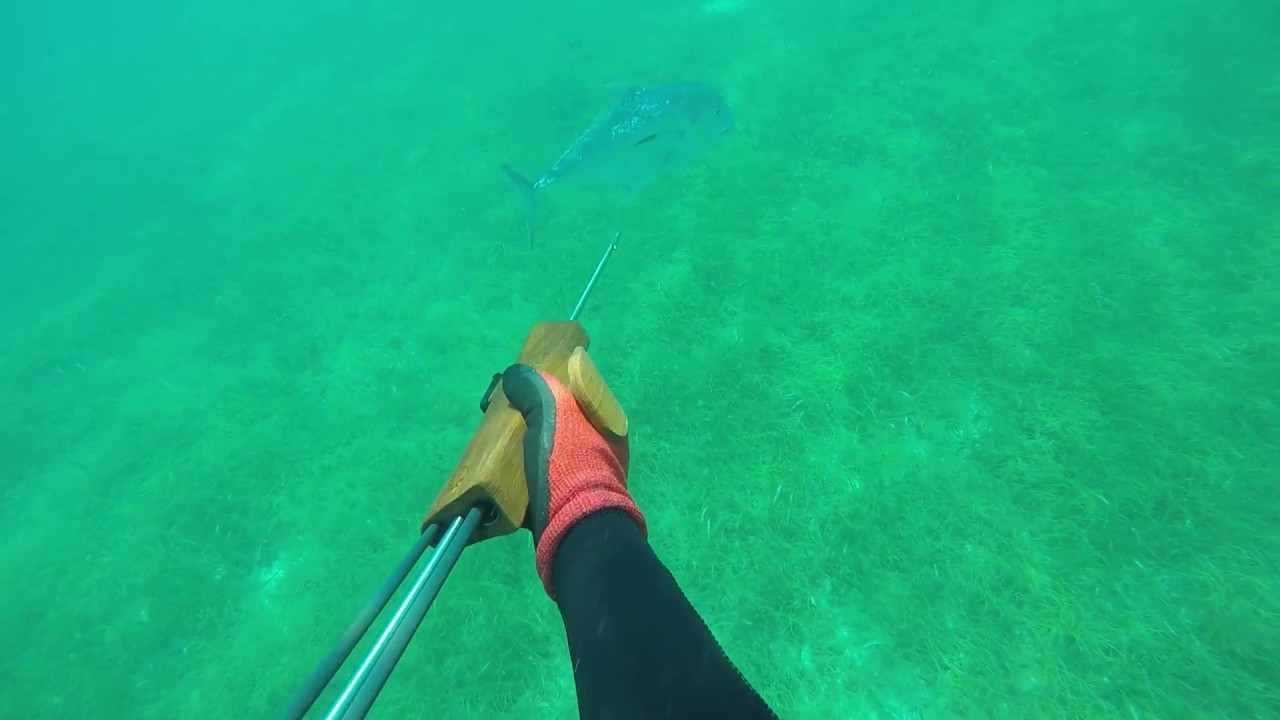 Spearing an African Pompano - on a Hawaiian Sling - Freediving Spearfishing